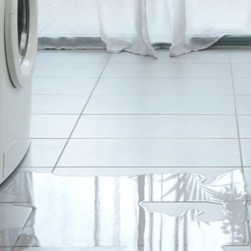 Appliance Leak Cleanup in Windermere, FL